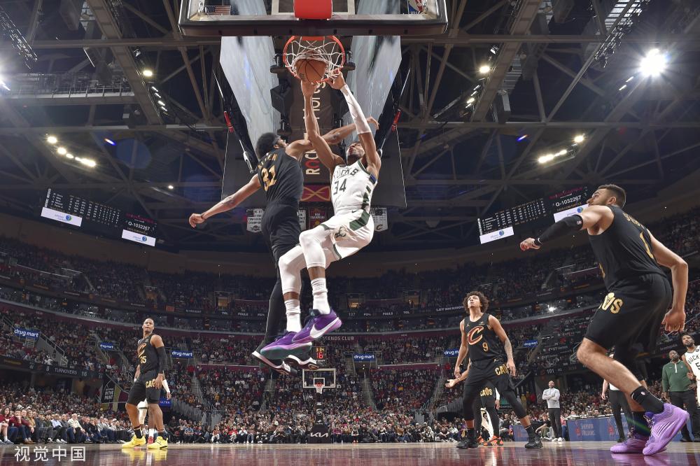 不仅是一条 不仅是一条